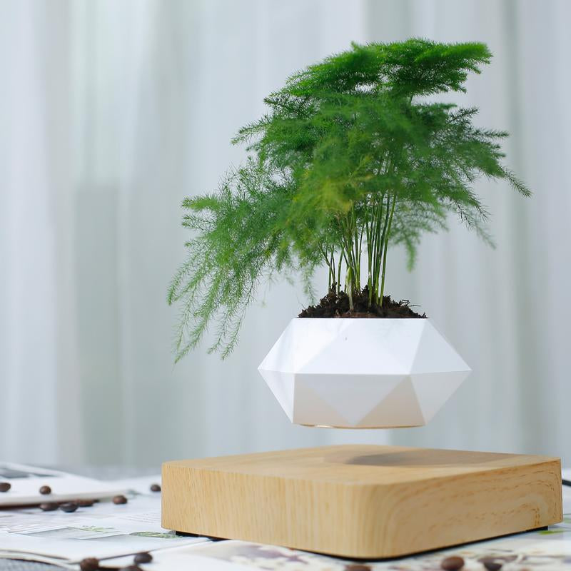 MAGECMOON Indoor Magnetic Levitation Flower Pot Dark Levitation Flower Pot Suitable for Air Plants Magnetic Technology Rotating Aerial Bonsai Flower Pot Light Color Floating Flower Pot Home Bonsai Flower Pot White Taper Planter Garden Accessories